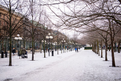 Snow covered footpath amidst trees in city