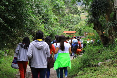 Rear view of people walking in forest