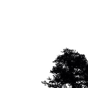 Low angle view of trees against clear sky