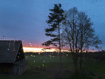 Bare trees against sky during sunset