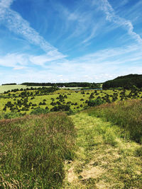 Scenic view of field against sky