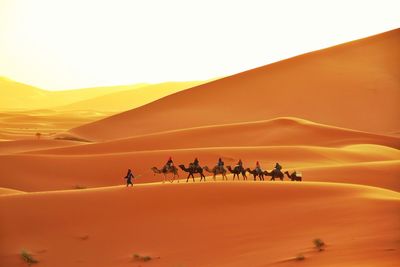 Group of people on sand dune