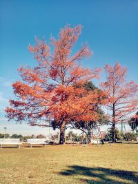 Trees on landscape against clear blue sky