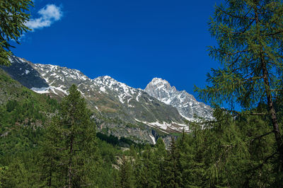 Scenic view of snowcapped mountains against blue sky