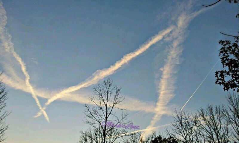 low angle view, tree, sky, bare tree, beauty in nature, tranquility, silhouette, scenics, blue, cloud - sky, nature, branch, tranquil scene, vapor trail, cloud, outdoors, high section, no people, treetop, idyllic