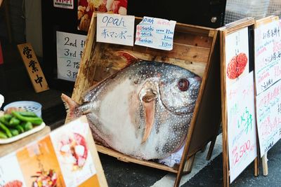 Close-up of fish for sale