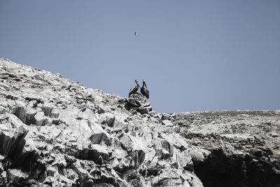 Low angle view of man sitting on rock against sky