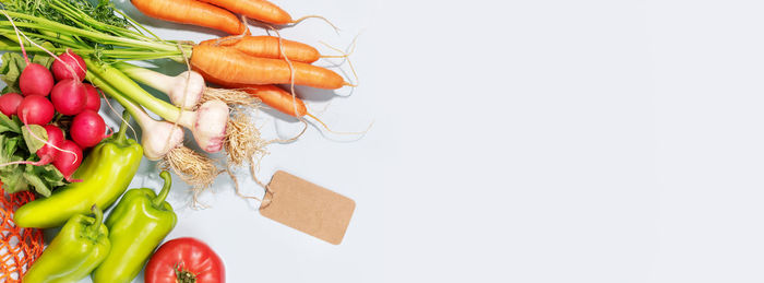 High angle view of vegetables against white background