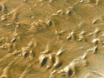 Full frame shot of sunlight