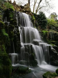 View of waterfall in forest