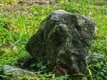 Close-up of rock