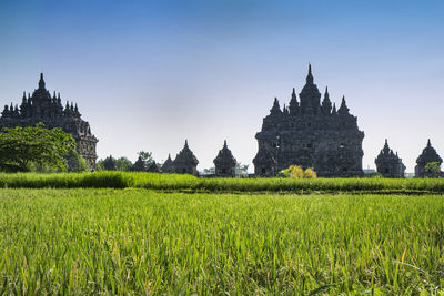 Panoramic view of temple on field against sky. candi plaosan or plaosan temple