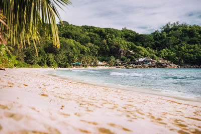Scenic view of beach against sky