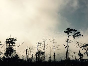 Low angle view of silhouette trees against sky during sunset