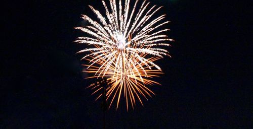 Low angle view of firework display against sky at night