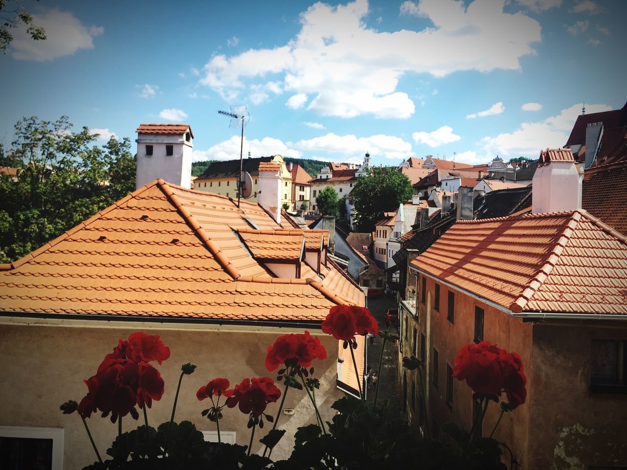 architecture, built structure, building exterior, tree, flower, sky, roof, cloud, cloud - sky, day, growth, town, no people