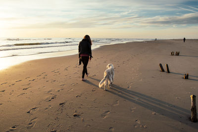 Rear view of woman with dog walking on sand at beach