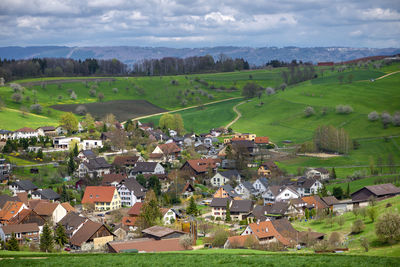 Scenic view of houses and trees on field