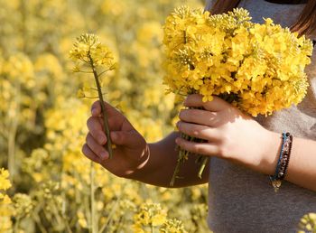 Close-up of woman hand holding yellow flowers