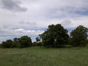 Scenic view of grassy field against cloudy sky