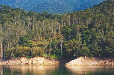 Scenic view of calm lake