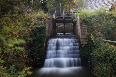 Scenic view of waterfall in forest