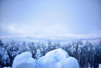 Snow covered trees against sky