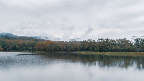 Scenic view of lake by trees against sky