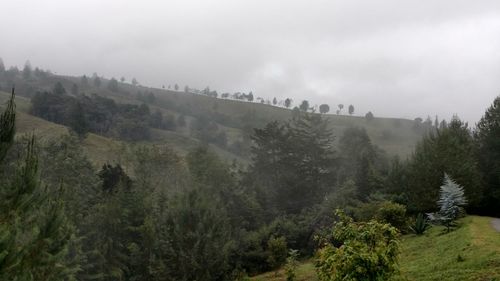 Scenic view of trees and mountains against sky