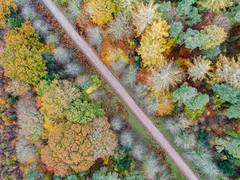 High angle view of railroad tracks during autumn