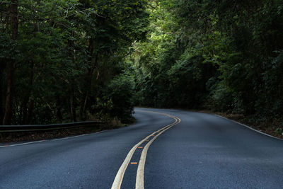 Empty road along trees in forest