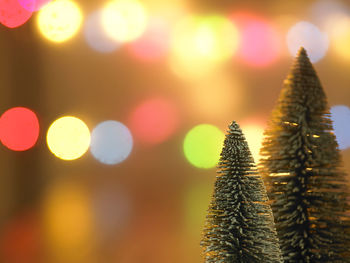 Close-up of christmas trees against lights