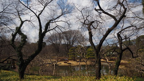 Bare trees by lake against sky