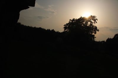 Silhouette trees on field against sky at sunset