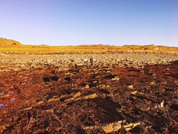 Scenic view of arid landscape against clear sky