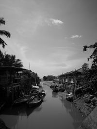 Boats moored at harbor against buildings in city