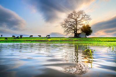 Scenic view of lake against sky