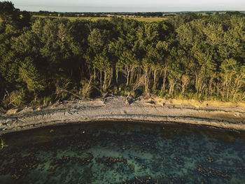 View of an animal on land