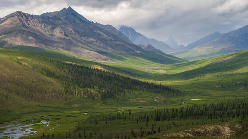 Scenic view of field and mountains against sky