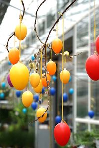 Close-up of red balloons hanging on tree