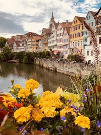 Scenic view of river by buildings in town