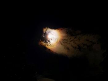 Low angle view of fireworks against dark sky