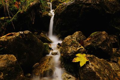 Scenic view of waterfall in forest