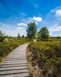 Footpath amidst trees on field against sky