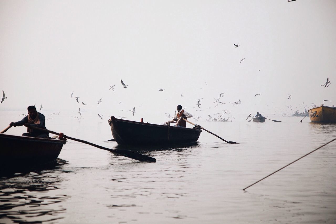 water, nautical vessel, boat, transportation, men, clear sky, lifestyles, waterfront, mode of transport, bird, leisure activity, copy space, sea, flying, day, animals in the wild, nature