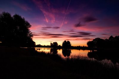 Silhouette of trees at sunset