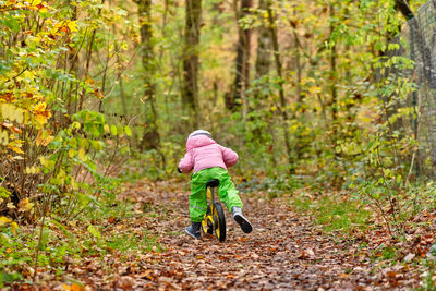 Rear view of woman walking in forest