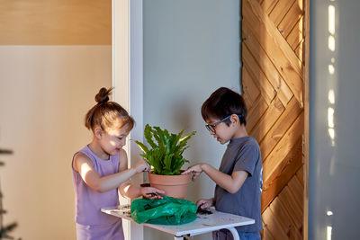 A boy and a girl are transplanting a home plant into a new pot.