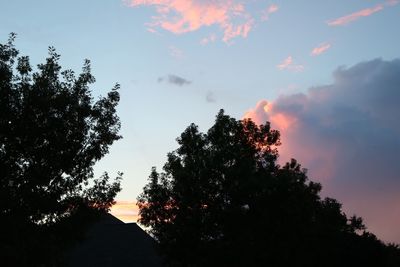 Low angle view of silhouette trees against sky at sunset