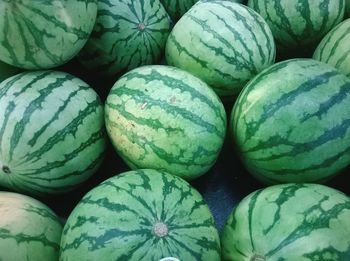 Full frame shot of organic watermelons